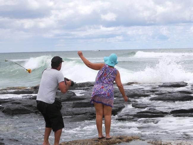 Local Carmel McInnerney with a rose for the surfer who was fatally mauled by a shark at Shelly Beach in Ballina this morning. Pics Tim Marsden