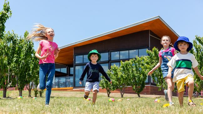 Yarra Valley Chocolaterie &amp; Ice Creamery has plenty of fun of offer.