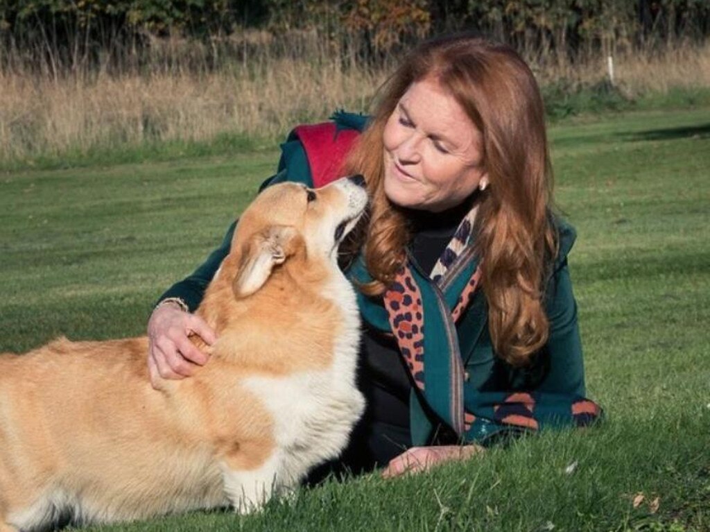 Sarah Ferguson now cares for the Queen’s corgis. Picture: Supplied