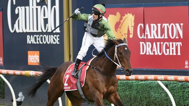 Brett Prebble riding Incentivise to victory in the Caulfield Cup. Picture: Getty