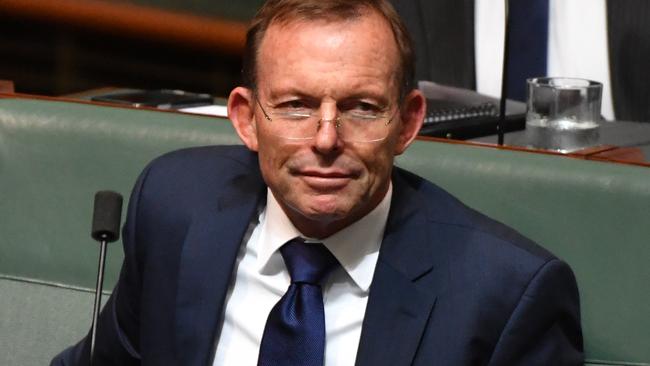 Former PM Tony Abbott has raised concerns over a clean energy target.