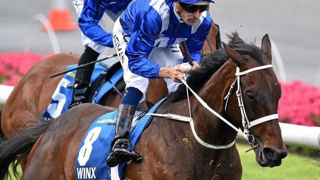 CHAMPION: Hugh Bowman rides Winx during the Cox Plate. Picture: JULIAN SMITH