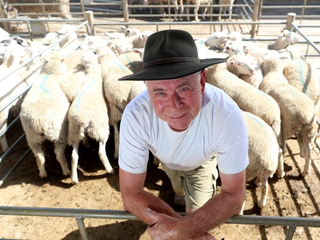 Bendigo prime lamb sale, Bendigo Livestock Exchange, Jon Martin, #0418365559, from Nullavale, sold 23, $160,     Picture Yuri Kouzmin