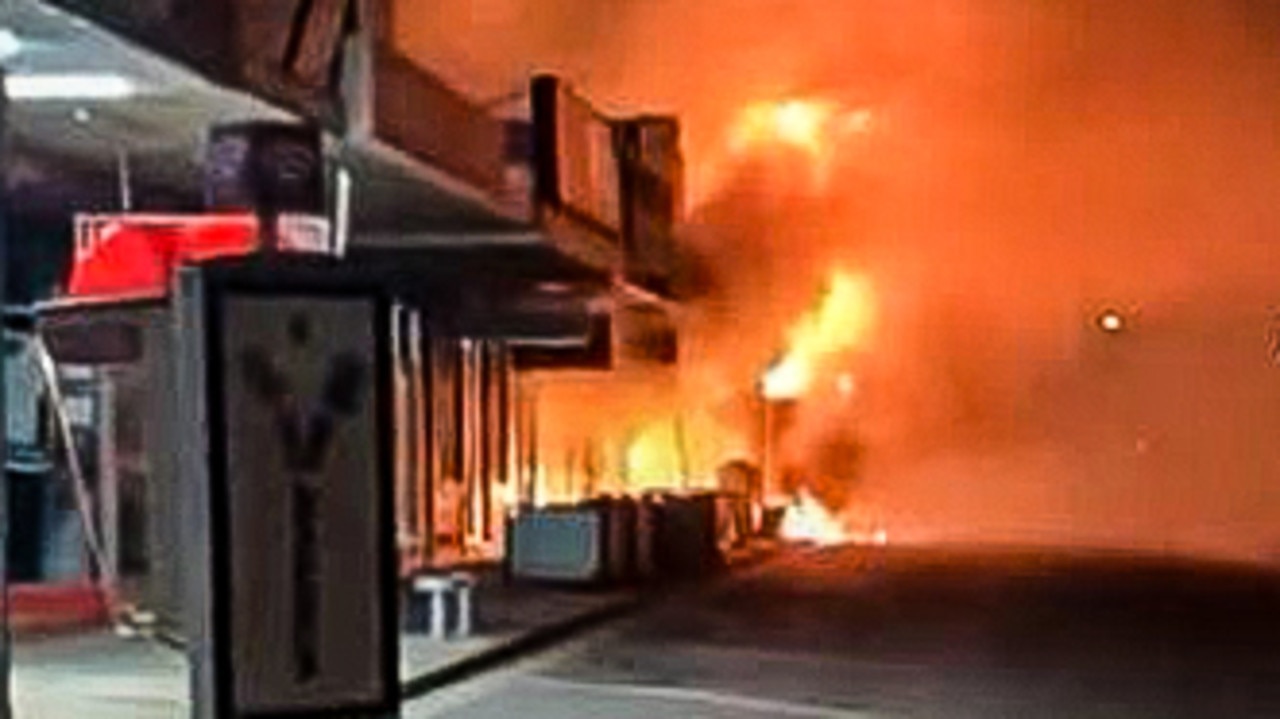 Pets killed in firebombing of store
