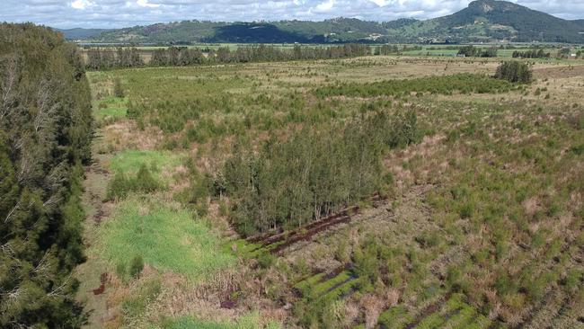 The Coolum Creek Environment Reserves form part of the 5000ha Blue Heart Sunshine Coast.