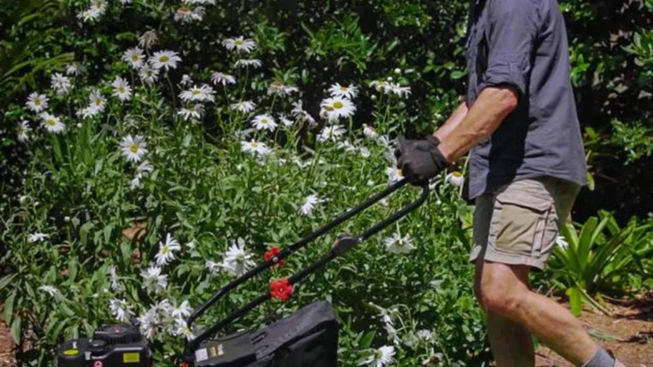 These are the best lawn mowers on the market right now.