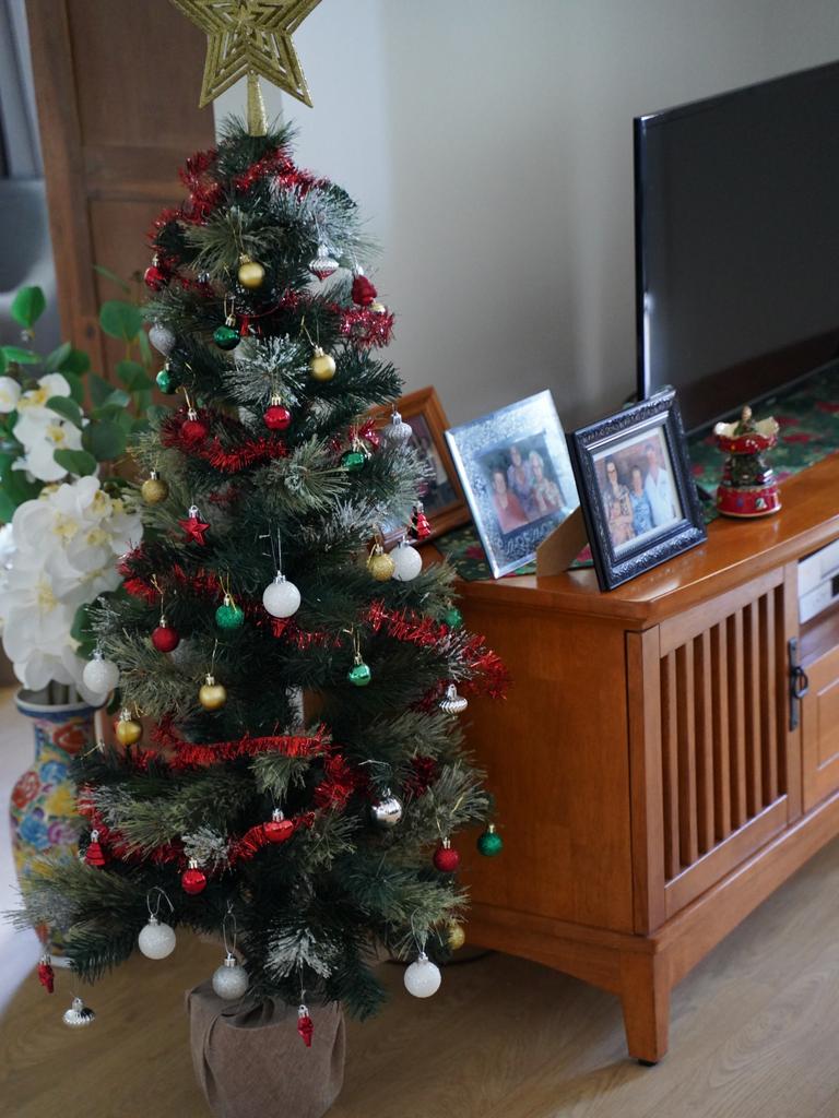 Dorothy Shaw's Christmas tree shown at the opening of the new Palmer St social housing complex named Mary Ann Sam in North Mackay, December 14, 2021. Picture: Lillian Watkins