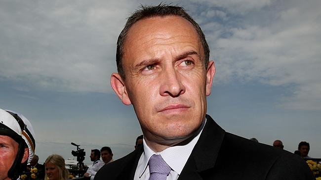 It's likely Chris Waller would have been approached by Darley but also clear he would've knocked them back.