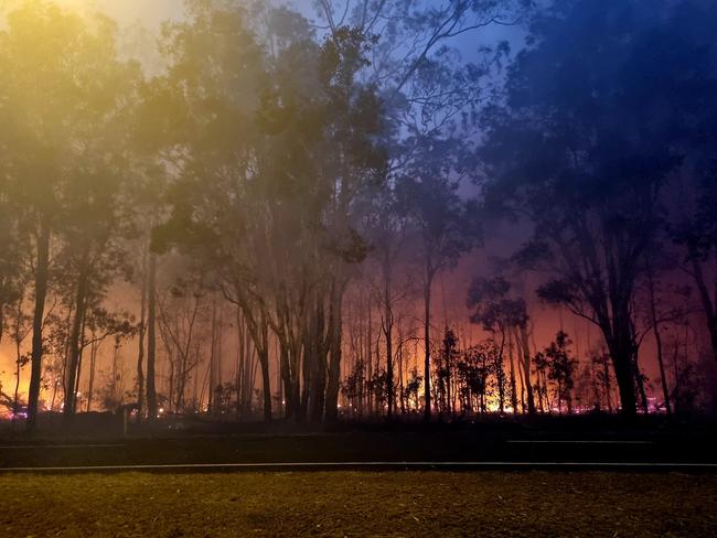 High alert: How this fire season will compare to the horror of 2019