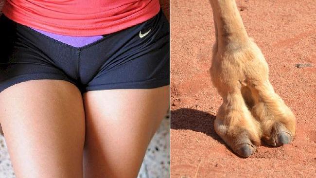 Camel Toe Underwear Is The New Fashion Trend Now! 