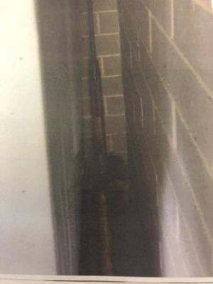 The air rifle police found behind the fridge at Mark Gibbons' Charmhaven property. Picture: supplied