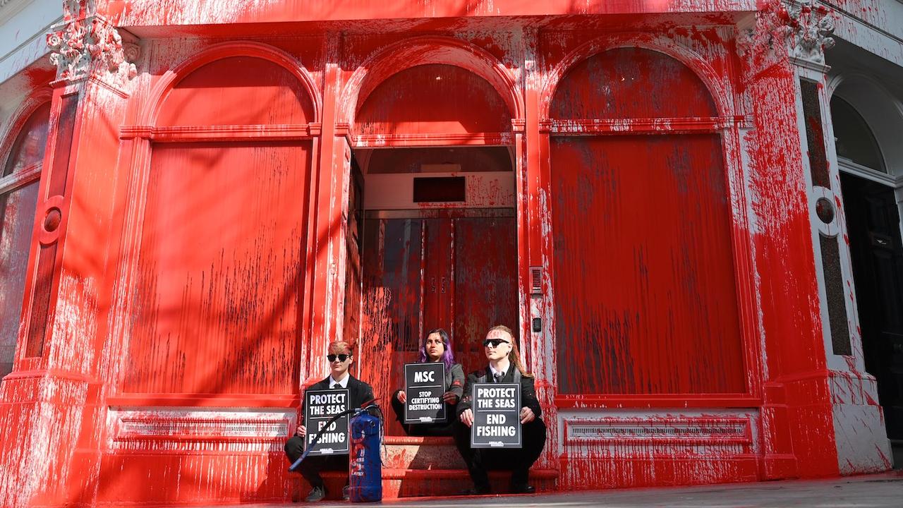 Marine Stewardship Council London headquarters were sprayed in red paint by activists in March. Picture: Animal Rebellion
