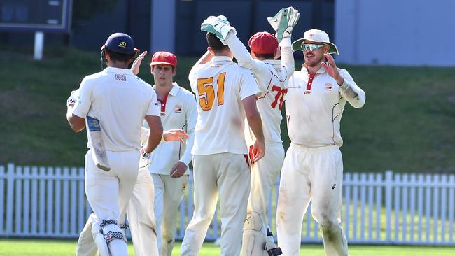 Sunshine Coast players celebrate the wicket of Jano Coetzee First grade.. Picture, John Gass