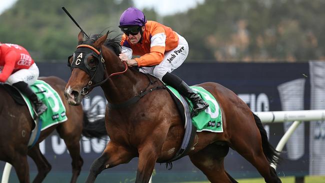 SYDNEY, AUSTRALIA - OCTOBER 12: Josh Parr riding El Castello  wins Race 4 Tab Gloaming Stakes during Sydney Racing at Rosehill Gardens on October 12, 2024 in Sydney, Australia. (Photo by Jeremy Ng/Getty Images)