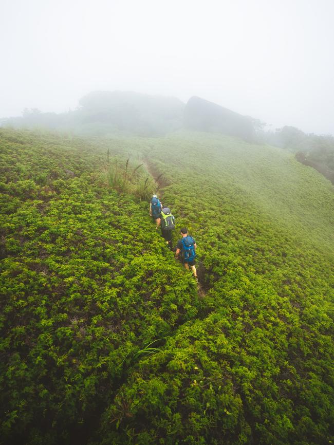 Hikers on the 14.5-km out-and-back trail to the summit of the Devils Thumb peak. Picture: Tourism Queensland.