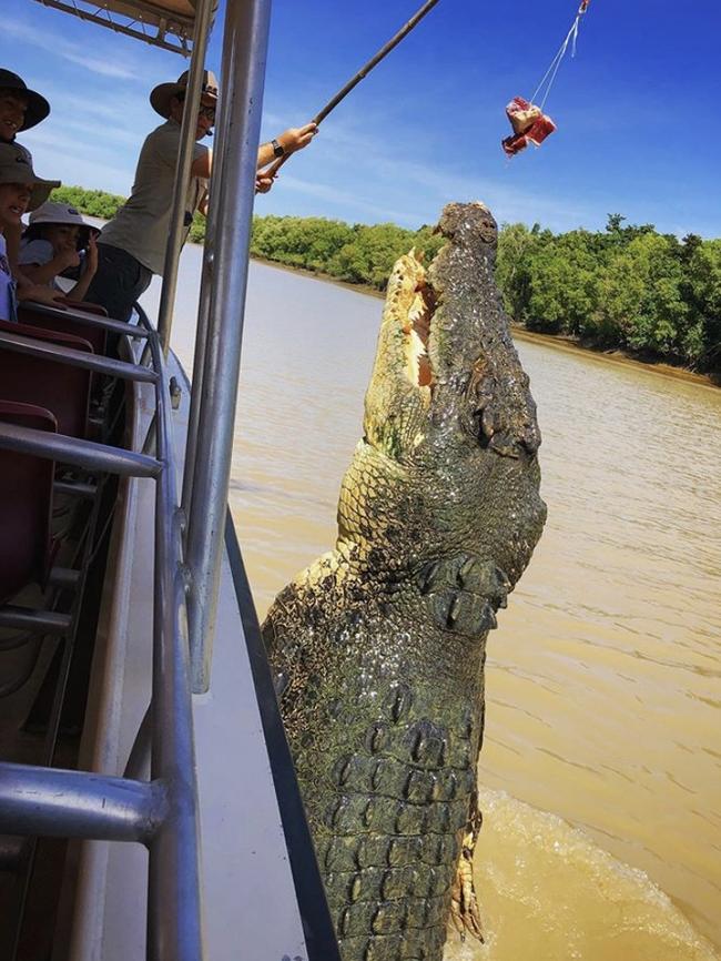 Top 10 Most Liked Instagram posts on @NTaustralia in 2020: 3. Jumping Crocodile Cruises by @jax.que.lyn. received 9,535 likes