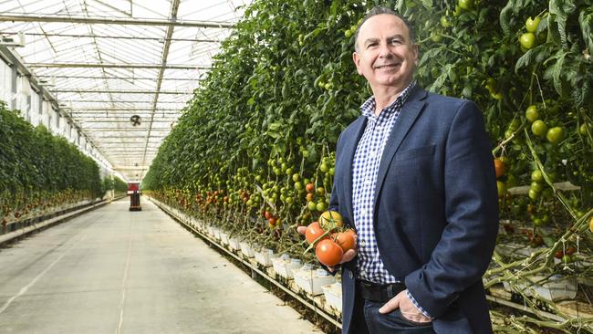 Fuel-efficient: <span id="U621817327097c" style="font-family:'Guardian Sans Regular';font-weight:normal;font-style:normal;">AgBioEn program director Lubey Lozevski with tomatoes grown under lights in a glasshouse at Katunga Fresh which will be powered by electricity from a new biofuel plant. Picture: Dannika Bonser</span>