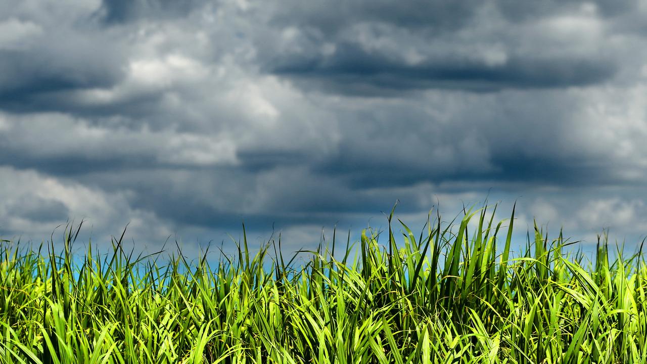 Norm Rix believes the cane fields in Norwell/Woongoolba should be developed, in part, to relieve pressure on housing on the central Gold Coast. Picture: Richard Walker #snapbrisbane