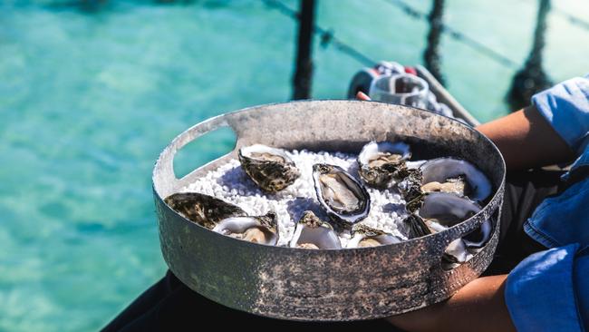 Coffin Bay Oysters, Eyre Peninsula, South Australia. Picture: SATC