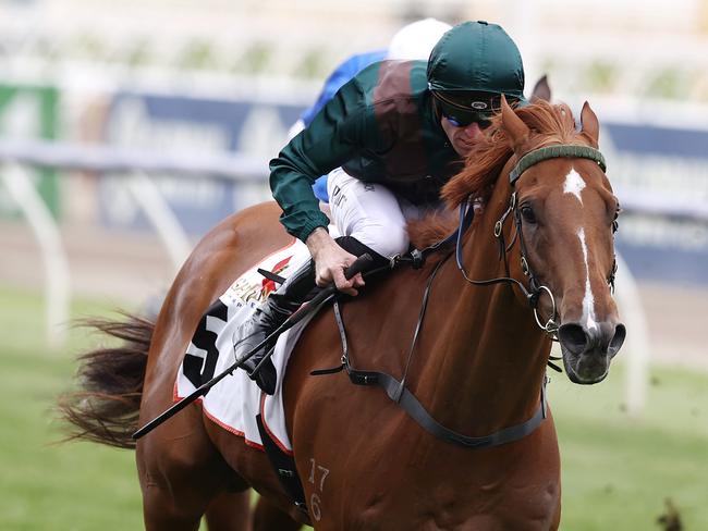 MELBOURNE . 03/11/2022.  RACING.  Oaks Day Races at Flemington Racecourse. Race 6. The Century Stakes. (1000 mtr).   Joyful Fortune ridden by Josh Parr was up the Flemington straight     . Picture by Michael Klein