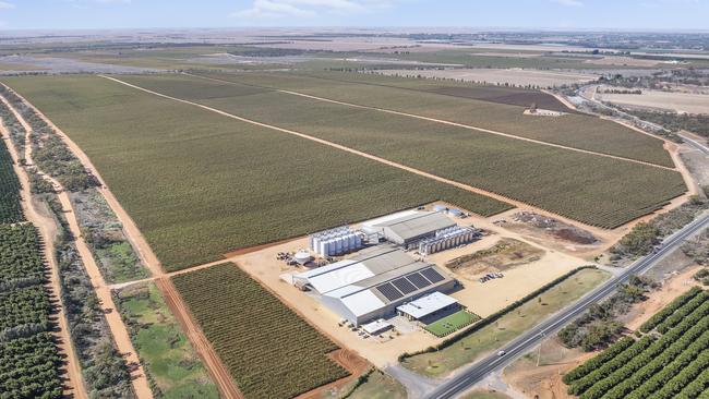 Salena Wine Estate, at Bookpurnong, in SA’s Riverland region, is for sale after the company fell into administration.