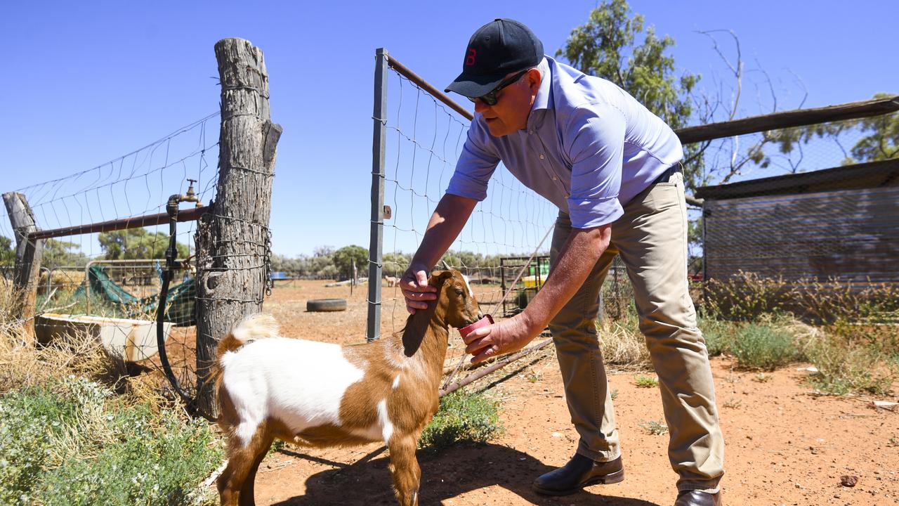 Prime Minister Scott Morrison feeds a goat during a visit to Tully family property Bunginderry Station outside Quilpie, Queensland during his Queensland blitz. Picture: AAP Image/Lukas Coch