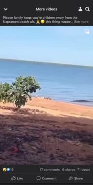 Dog snatched from sand of Cape York beach