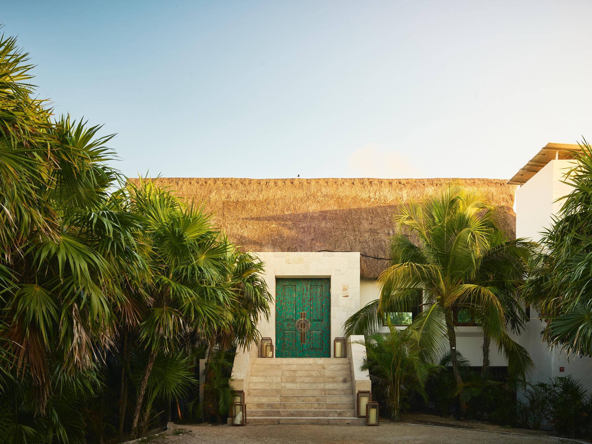 Protecting ancient corn and building up sustainably in the heart of the  Yucatan peninsula, Mexico