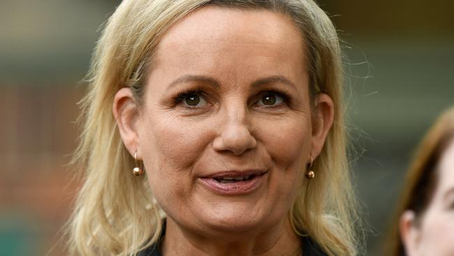 Environment Minister Sussan Ley. Picture: AAP
