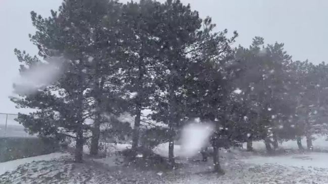 Heavy Snow Swirls in Oswego thumbnail