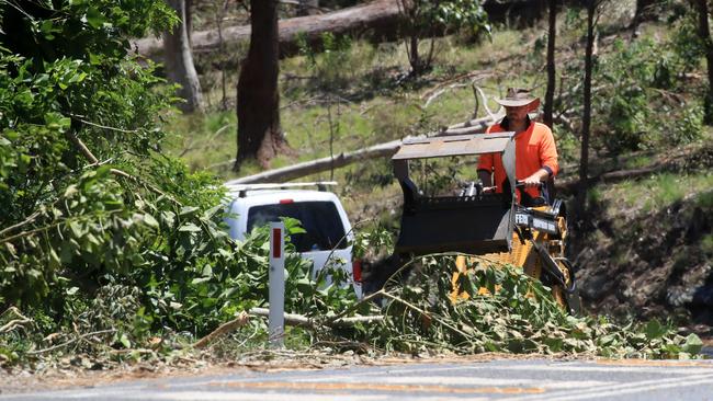 Volunteers clean up fallen trees at Eagle Heights, Mt Tambourine. Picture: NCA NewsWire / Scott Powick