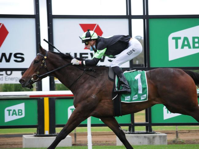 Ipswich race 2 winner Get Set, ridden by Baylee Nothdurft. Picture: Claire Power