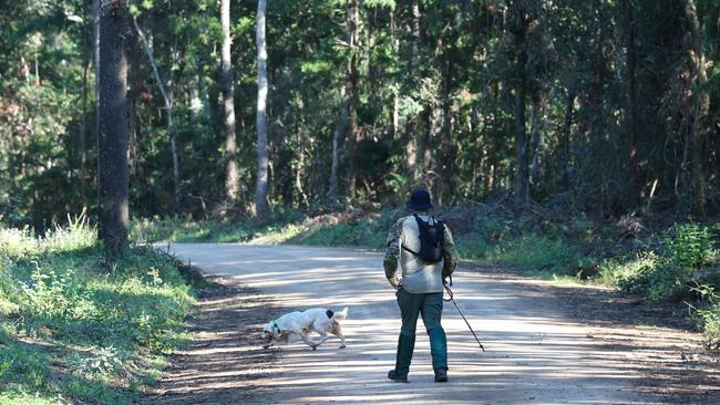 Police search Good Night Scrub National Park. Picture: Adam Head