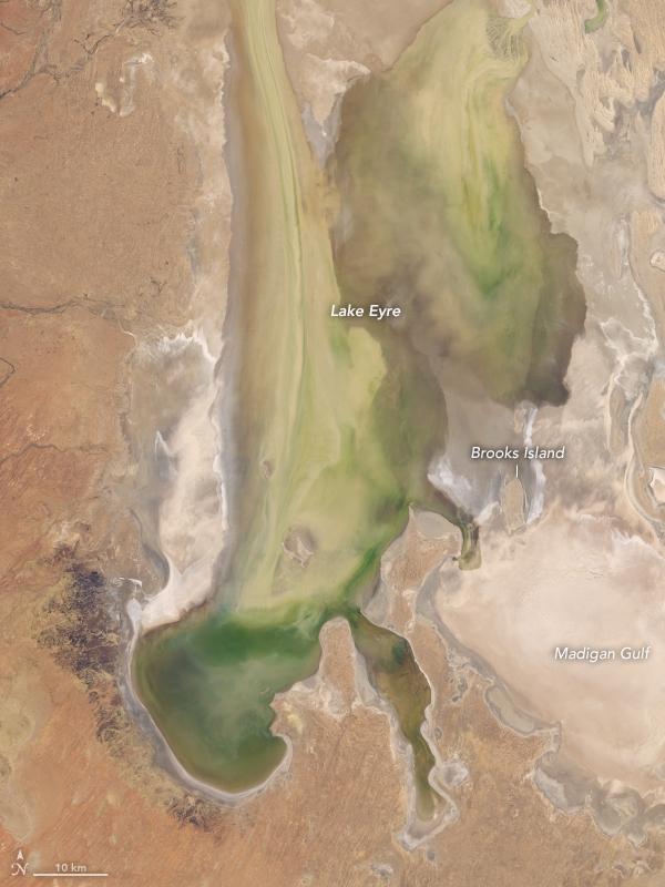 Kati Thanda-Lake Eyre May 2019 . Picture: NASA