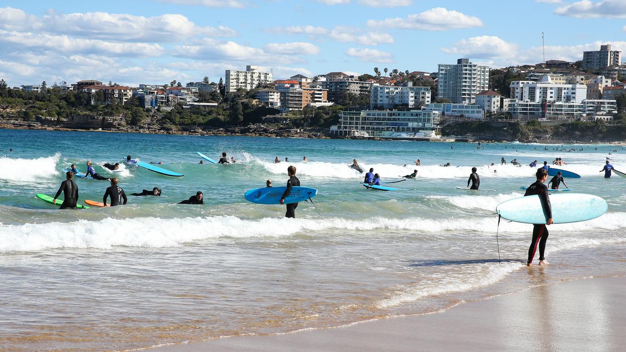 Shark nets removed from Sydney beaches next week