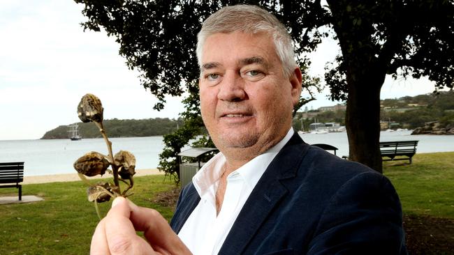 Mosman Councillor Roy Bendall would like to see the Cow Itch tree eradicated from the area.