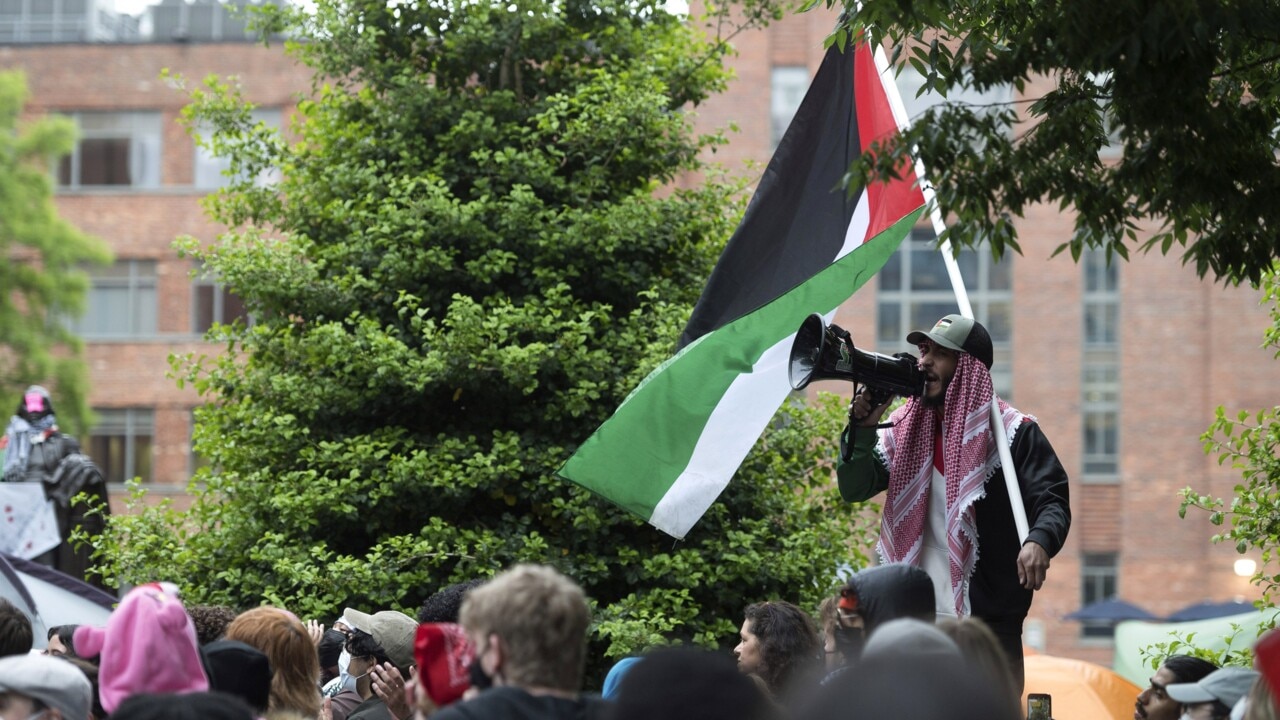 ‘Odious and pathetic’: Chris Kenny calls out pro-Palestine university protests