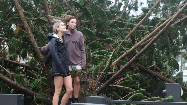 Gold Coast battered by Cyclone Alfred, as it made land. Broadbeach locals Jade Keeley (blonde) and Bronwyn David came out of their apartment on Old Burleigh Rd to find A giant Norfolk Pine had fallen in their front yard. Picture Glenn Hampson