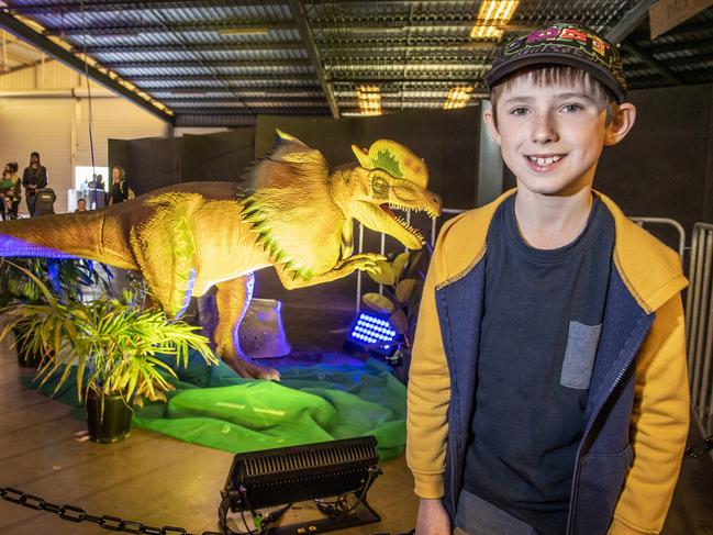 Pictures: Dino Festival amazes families in Toowoomba