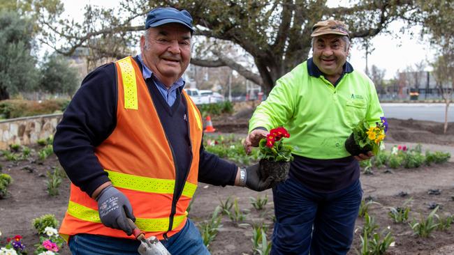 Antonio and Carmine Lepore are celebrating a combined 100 years of service at Adelaide City Council next month. Photo: Adelaide City Council