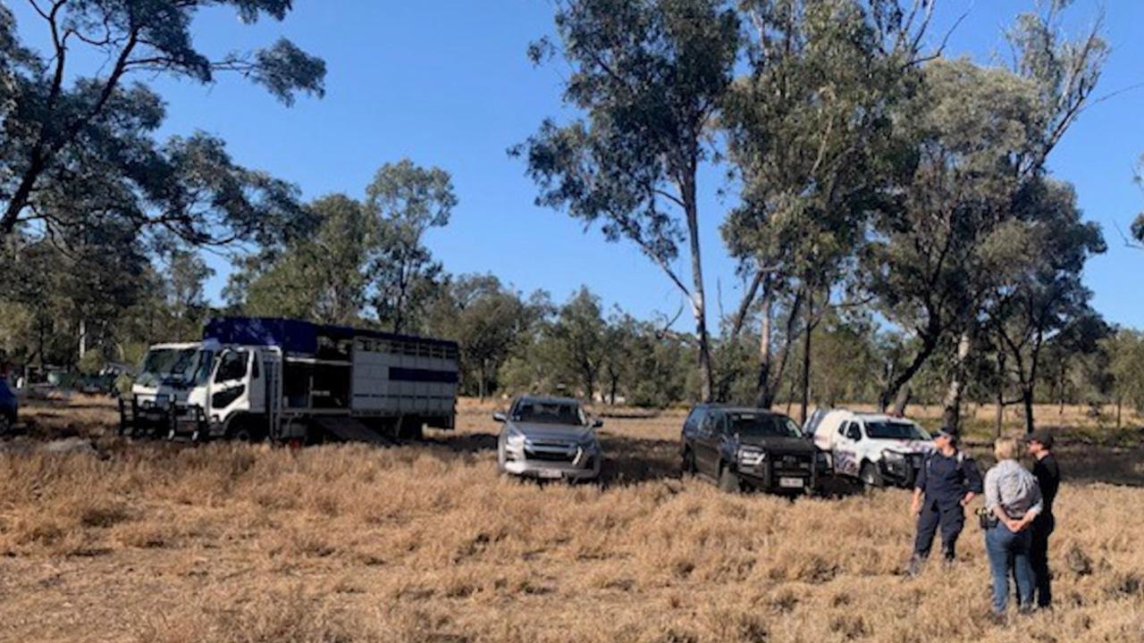 Queensland Police search a dry creek in Reward, near Rubyvale, where the human remains of Francis "Frank" Foley were found last year.