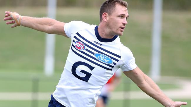 Joel Selwood is poised for another big season. Picture: Mark Dadswell