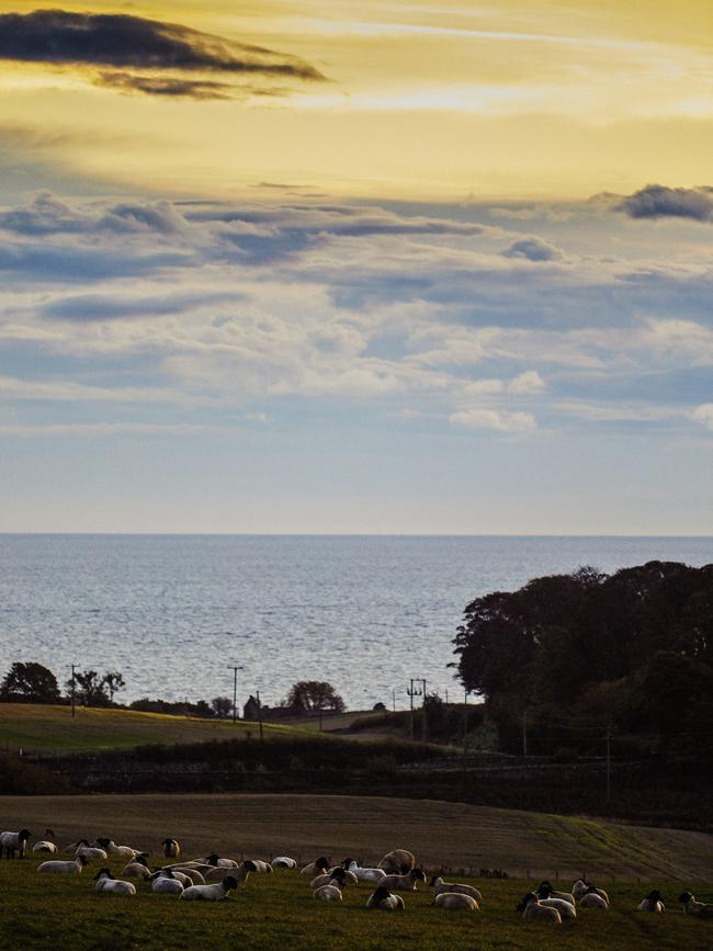 A dramatic sunrise at the coast. Picture: Brent Darby.