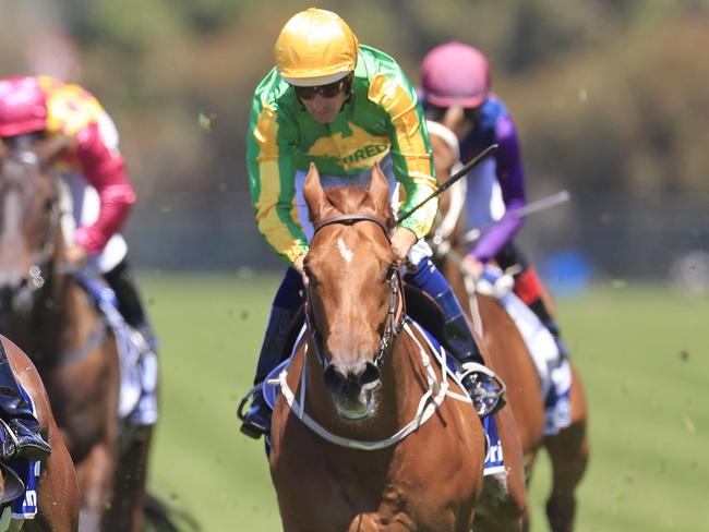 SYDNEY, AUSTRALIA - OCTOBER 29: Tommy Berry on Waterford wins race 3 the Furphy Handicap during Sydney Racing at Rosehill Gardens on October 29, 2022 in Sydney, Australia. (Photo by Mark Evans/Getty Images)