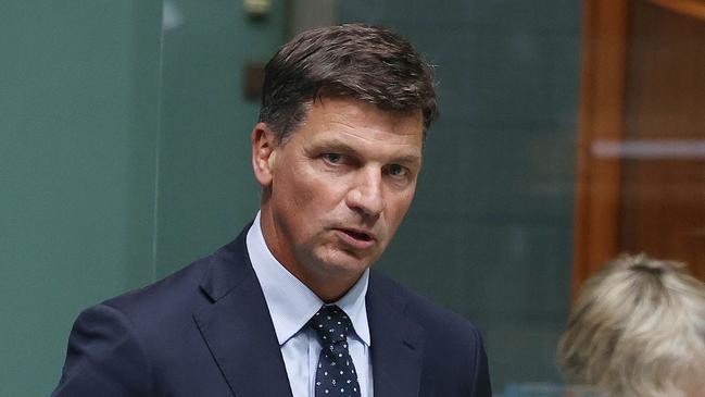 Energy Minister Angus Taylor. Picture: NCA NewsWire / Gary Ramage