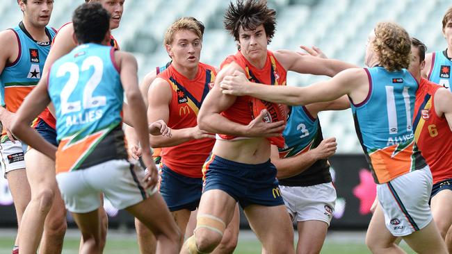 Fogarty gives the don’t argue in an U18 match at Adelaide Oval. Picture: Roger Wyman