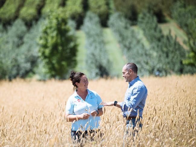 Fiona Hall talks to Vodafone CEO on her Orange farm.