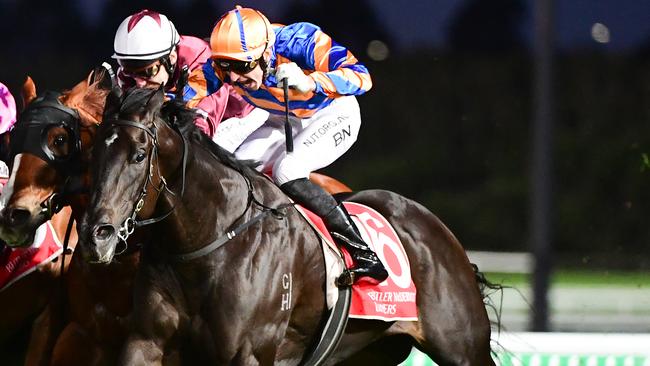 Tullio is the one punters must have in Race No.5. Picture: Trackside Photography