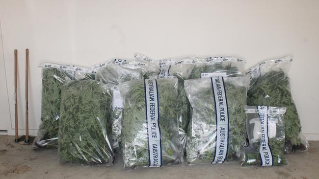 ACT police raided four rental properties in Belconnen and Gungahlin on Monday, and arrested Vietnamese national Anh Duc Pham, 44, with cultivating and trafficking cannabis. Picture: ACT Police/Supplied