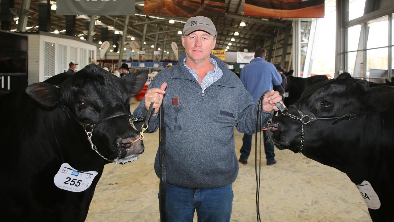 Anton Volkerand the Reserve Champion and Supreme Champion Angus bulls at the Royal Melbourne Show. Picture: Yuri Kouzmin